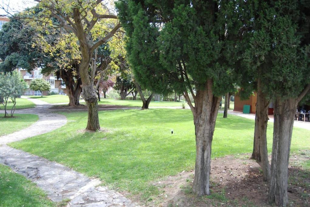 Sol Y Playa Apartament
